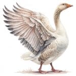 A serene goose standing in a tranquil meadow with a backdrop of soft pink and yellow blossoms